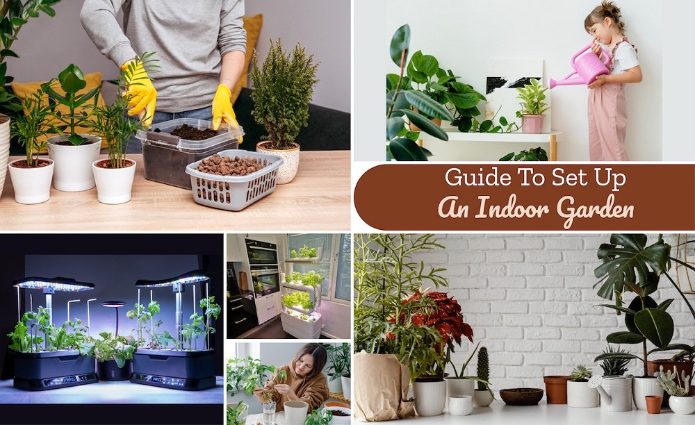 Indoor Growing System Ideas | 5 Easy Ways to Create an Indoor Garden