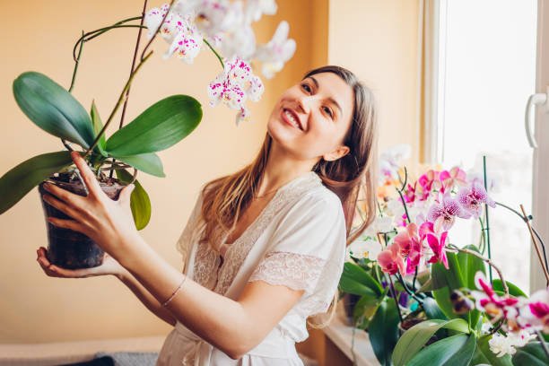 Is Garlic Water The Key To A Thriving Orchid Plant? Our Houseplants Expert Weighs In