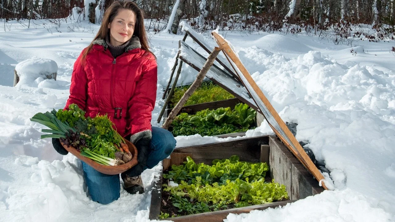 Smart Gadgets for Winter Gardening | Tech to Keep Your Plants Thriving